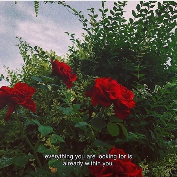 Meet your Posher, Brenda - Picture 1 of 1